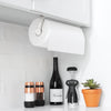 Mounted Paper Towel Holder