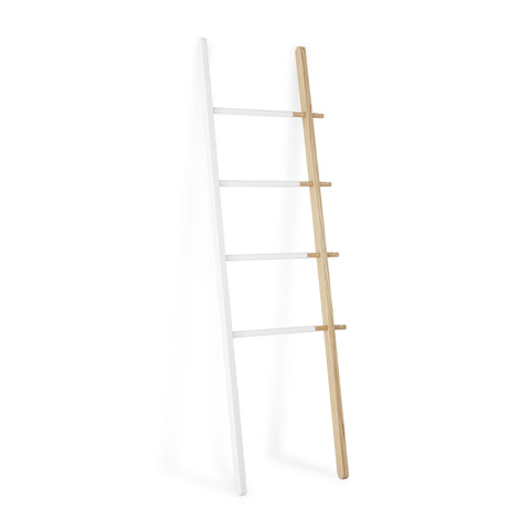 Hub Ladder