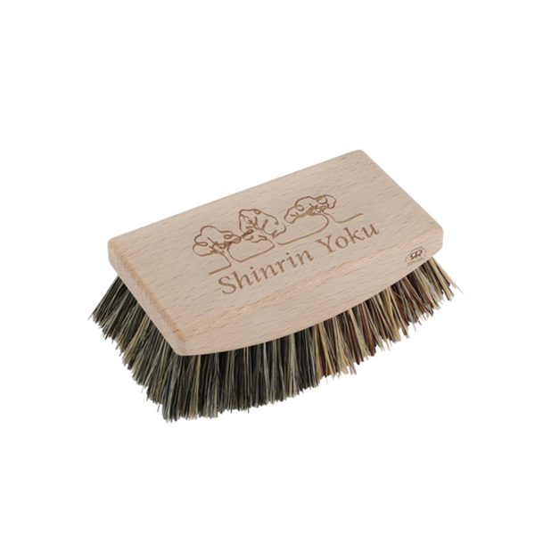 Foot Brush