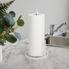 Squire Countertop Paper Towel Holder